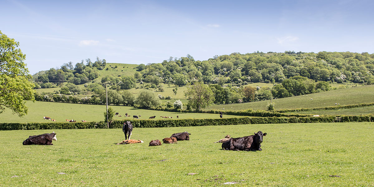 clatsmore-farm-10 clatsmore-farm-10