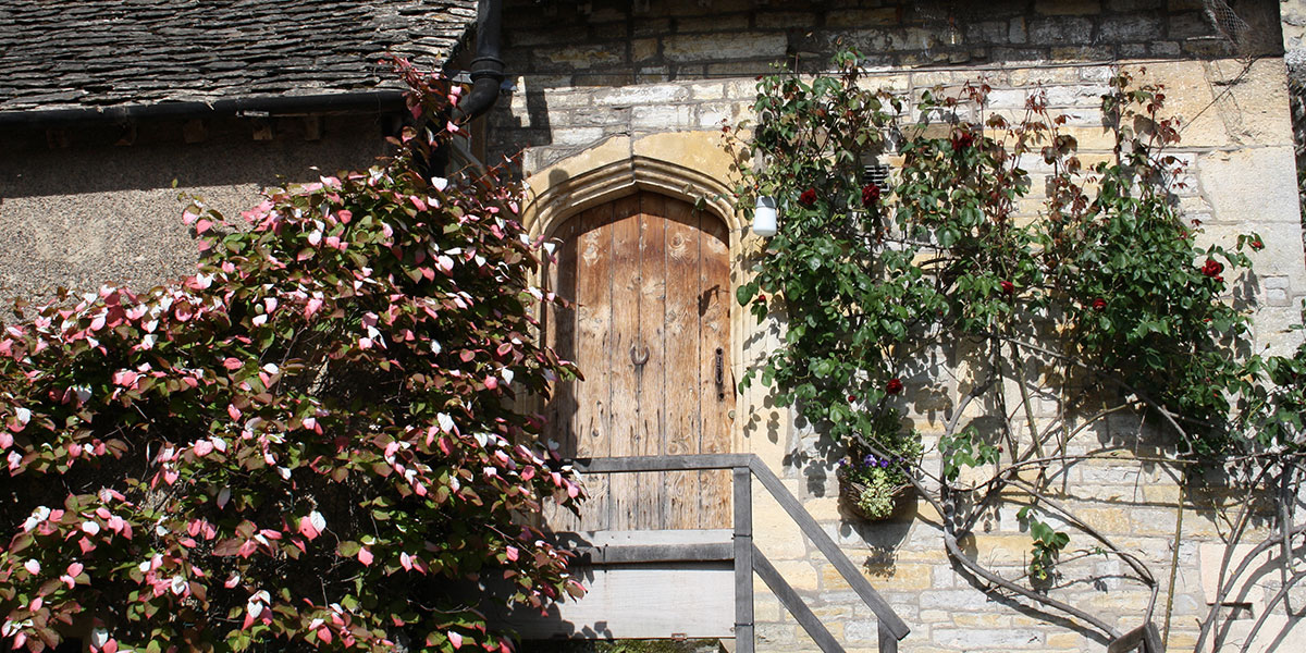 birdsbest-10 birdsbest-10